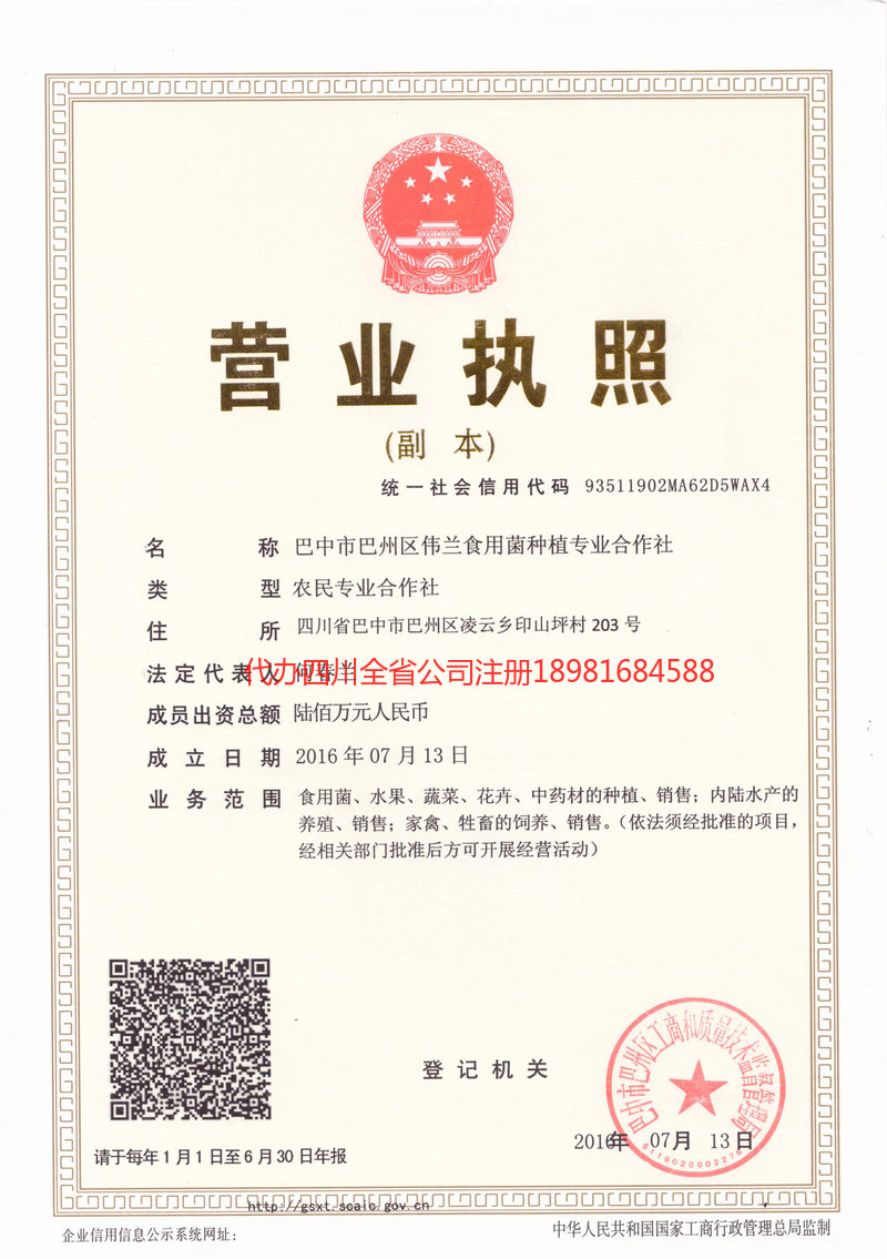 茫崖茫崖伟兰食用菌种植专业合作社